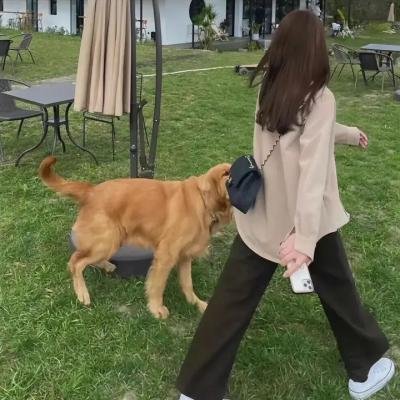 身后灵
